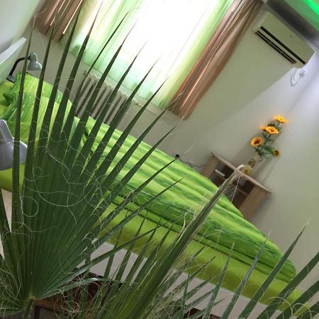 Green Dreams Novi Sad Eksteriør bilde