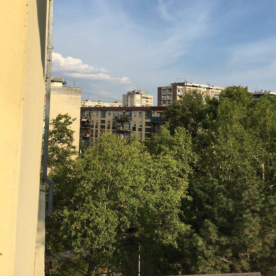 Green Dreams Novi Sad Eksteriør bilde